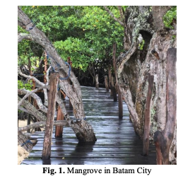 Mangrove Ecotourism Management in Batam City: Aspects of Sustainable Financing Models Slyacademy.com